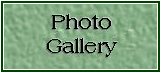 Photo Gallery
